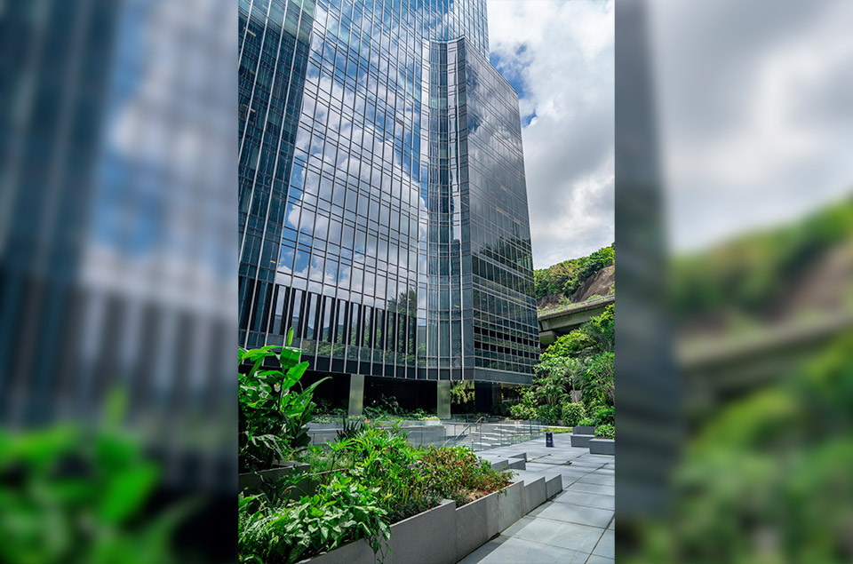 The Facade & View